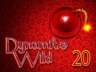 Dynamite Wild 20 thumbnail